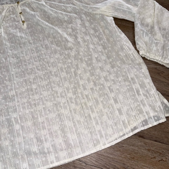 Liz Claiborne • Ivory Textured Sheer Blouse - Picture 3 of 13